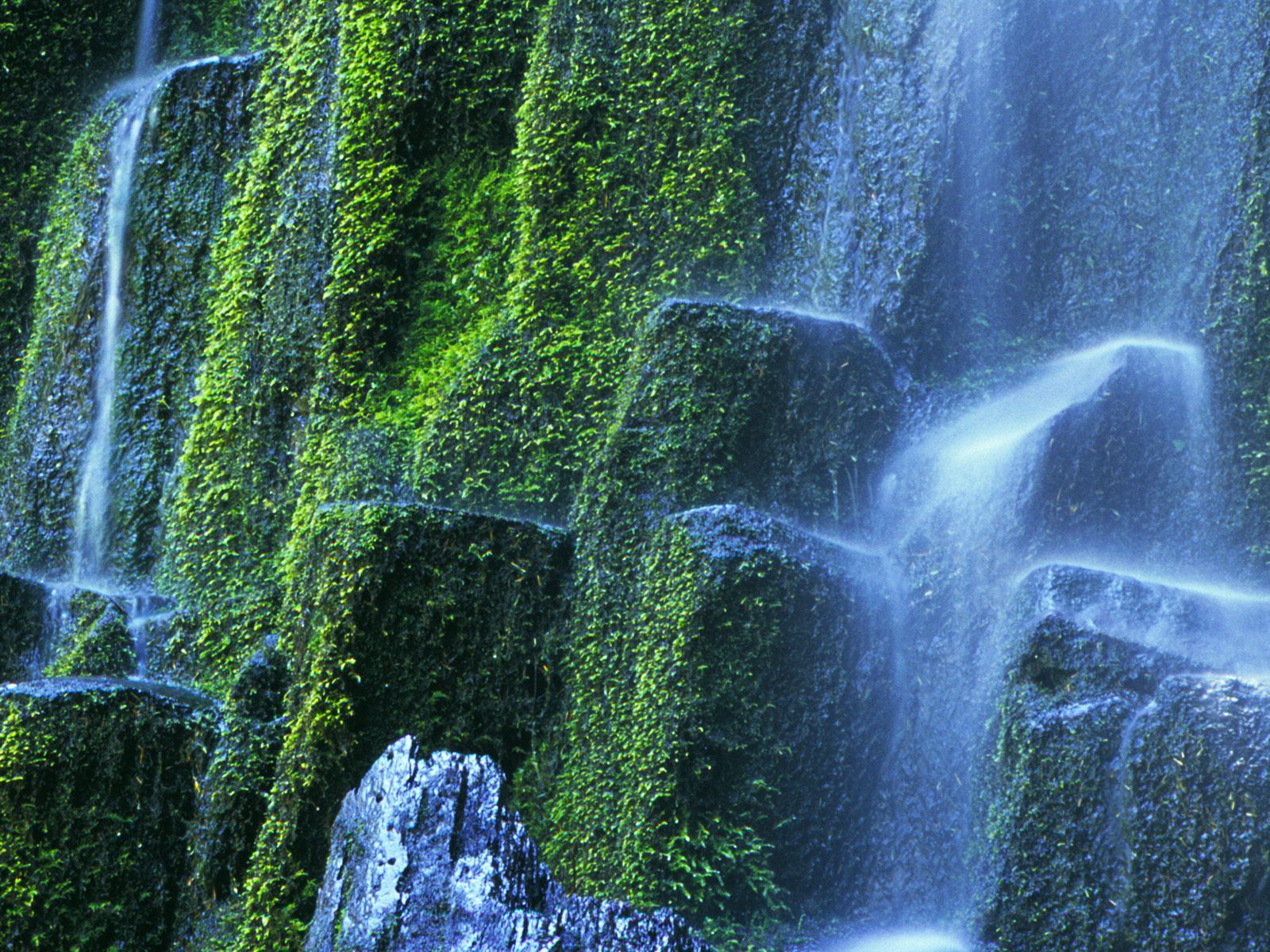 Proxy Falls, Willamette National Forest, Oregon